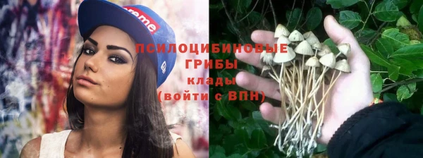 не бодяженный Арсеньев